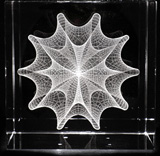 Calabi-Yau Manifold