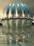 Tori_Reflections