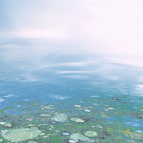 Mist